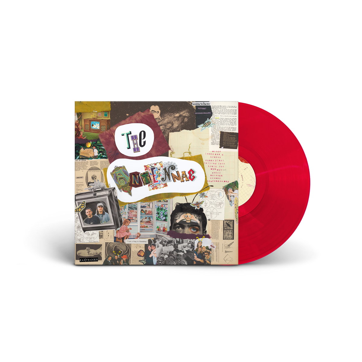 EAZYBAKED - THE ANTENNAE - Vinyl